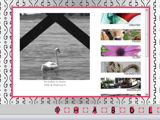 Website