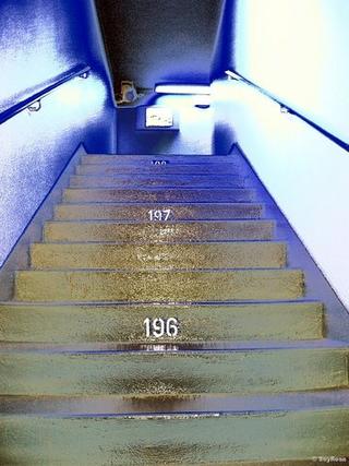 Stairs / Trap