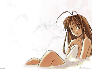 ...y sigo sin ver Love Hina