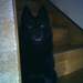 325111_de94d_square
