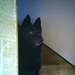 325117_e8623_square