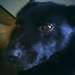 325119_c3ba6_square
