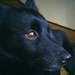 325121_7aace_square