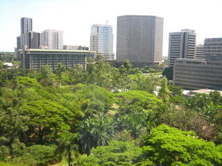 The view from my desk