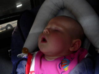 Big Day Out......