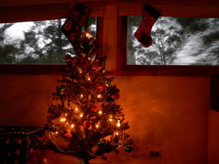 Xmas Tree............