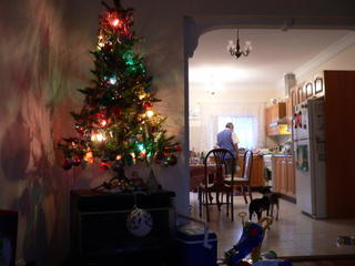Yet another tree..............