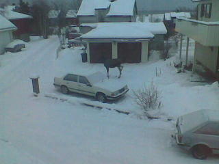 Multimedia message