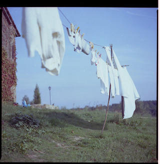 Is it time to return to Phlog?