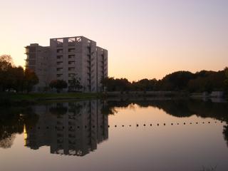 Autumn in Tsukuba