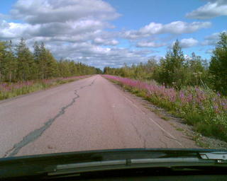 summerroad