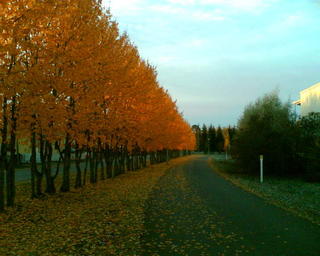 fall is almost over