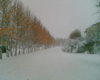 two days after previous picture
