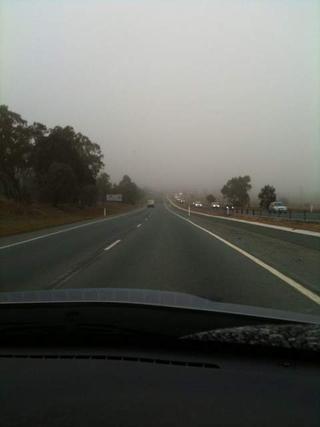 Fog today...