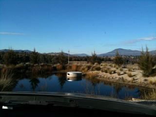 "Duck" Pond...