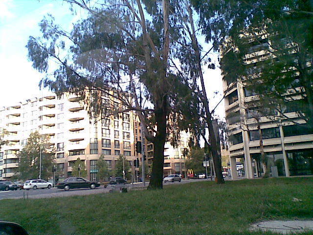 City Centre...