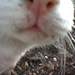 103242_18688_square