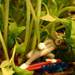 103970_e9672_square
