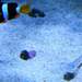 110834_ba796_square