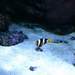 110851_34da5_square