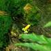 113420_a491d_square
