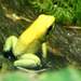 113422_d093a_square