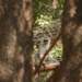 129704_c27b8_square