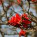 130649_3ab23_square