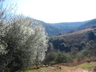 day 4 - the Drakensberg tour