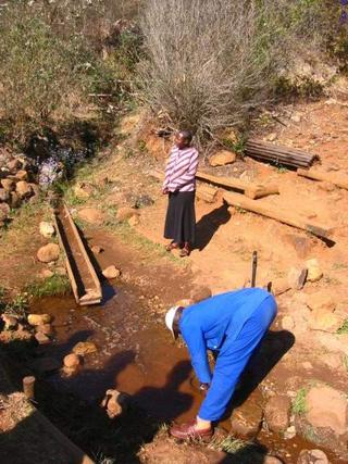 day 4 - the Drakensberg tour