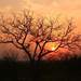 131039_5b02e_square