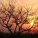 131040_ce47f_square