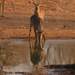 131042_c5839_square