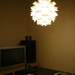 28888_10733_square