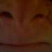 53167_860dd_square