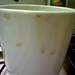 55545_7cd7a_square