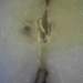 60806_ce070_square