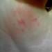 67095_ea127_square