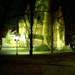 70506_a0a30_square