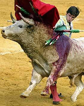 Barcelona condemns bullfighting