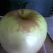 79921_82ea9_square