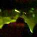 85614_f5e3b_square