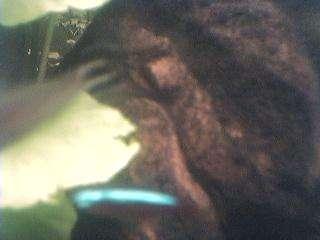 Poisson