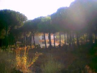 La mia casa 'ncopp o' Vesuvio