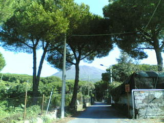 A Torre