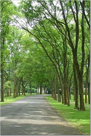 HOME .. MY HOME