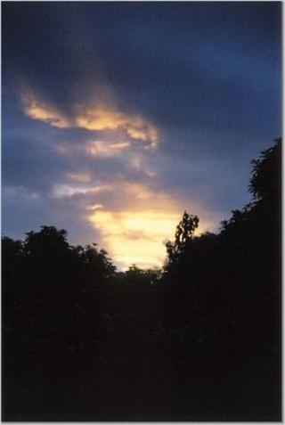 Night in Africa