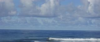 Surf's up