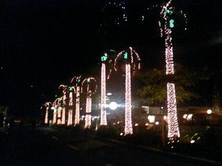 Christmas @ The Shang