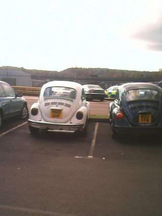 mine and dan's beetles